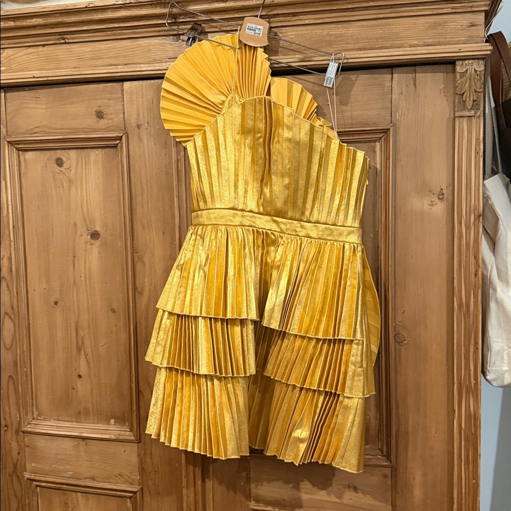 Acler Pleated Mini Dress - Picture 7 of 11